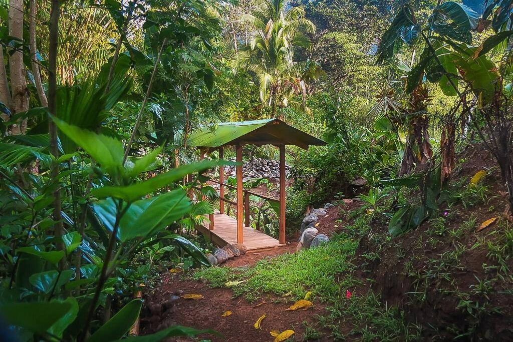 Casa Aire Libre Villa Puerto Jiménez Dış mekan fotoğraf